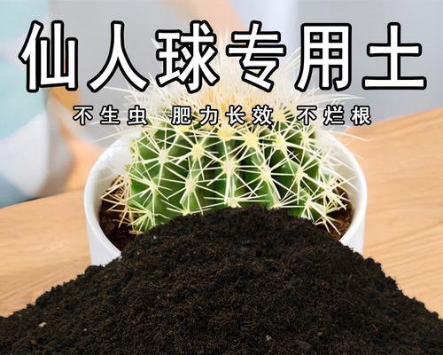 仙人球需要哪种土壤才能良好生长？