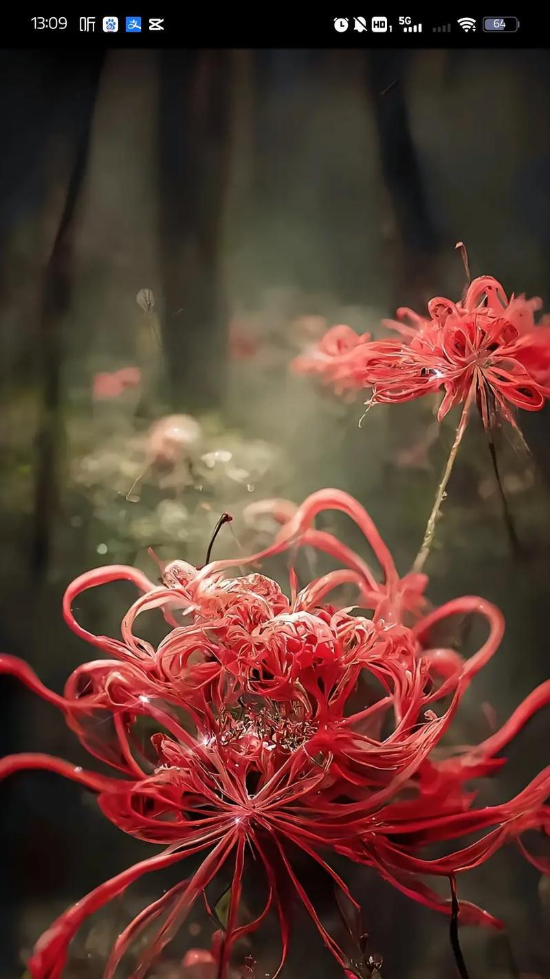 离别的爱是什么花语？哪种花能表达离别时的爱？