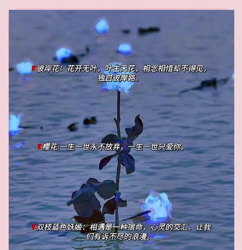 一生只爱你的花语表达了什么情感？