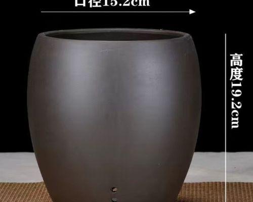 圆茎君子兰属于什么品种？养护技巧有哪些？