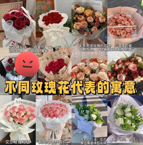 插玫瑰花的花语和寓意是什么？玫瑰花代表了哪些情感？