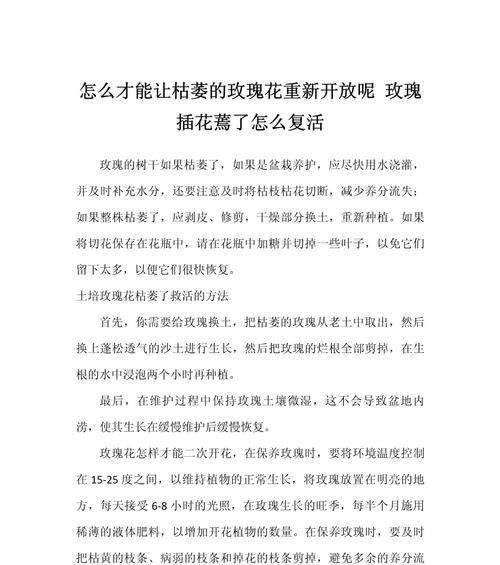 修剪后的玫瑰花如何重新种植？