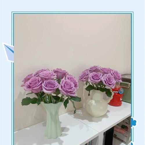 玫瑰花插枝水培如何操作？怎样才能提高成活率？