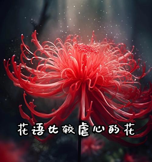 花的最新花语有何变化？