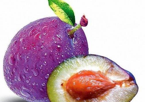仙人掌盆栽出现紫色叶子是病了吗？如何处理？