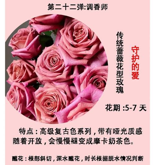十九朵玫瑰花的花语是什么？