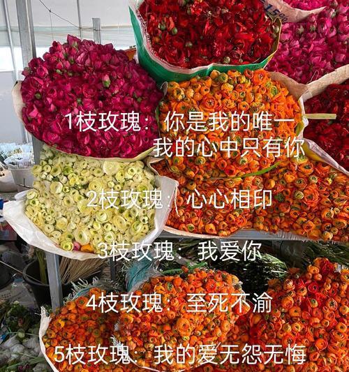 十九朵玫瑰花的花语是什么？