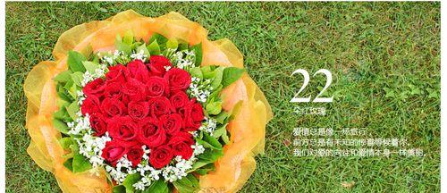 春节祝福的花语有哪些？它们各自代表了什么？