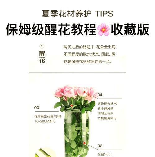 没根的玫瑰花能存活吗？如何正确养护？