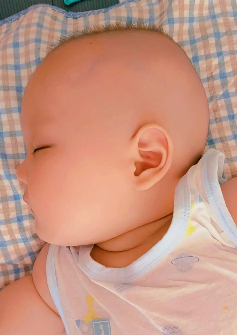 人类幼崽象征着什么？