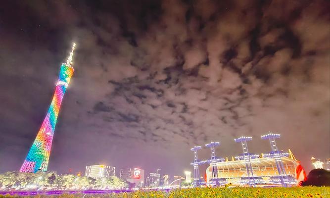 日落的象征花语是什么？日落花语的含义是什么？