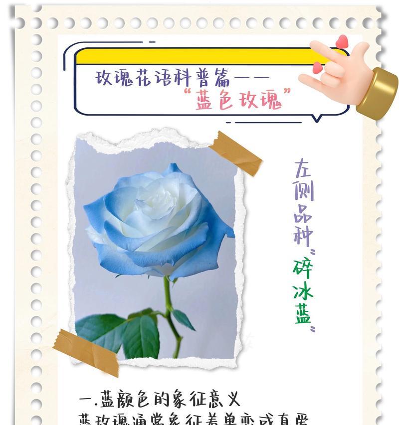 送花时花语怎么写才好听？有什么建议？