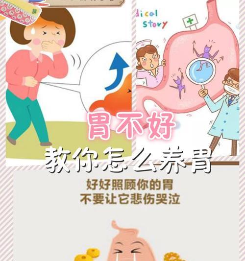 玫瑰花是否伤胃？如何养护以减少胃部不适？