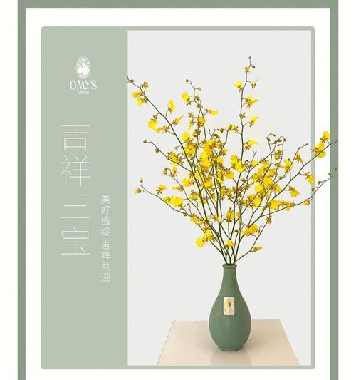 “心死了”这一说法的花语含义是什么？