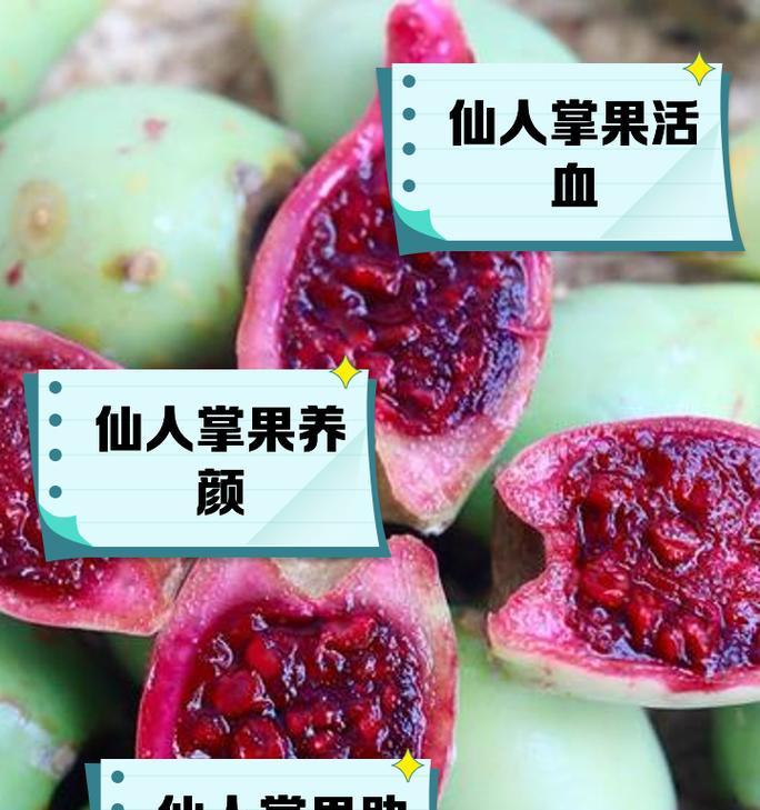 仙人掌受冻后如何恢复？有哪些有效的养护措施？