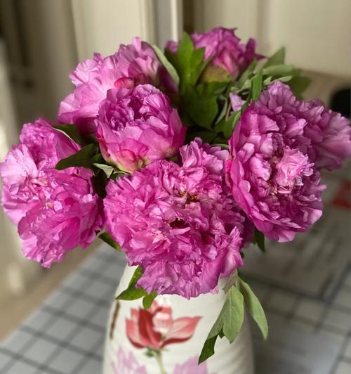 小牡丹花干花的养护技巧有哪些？