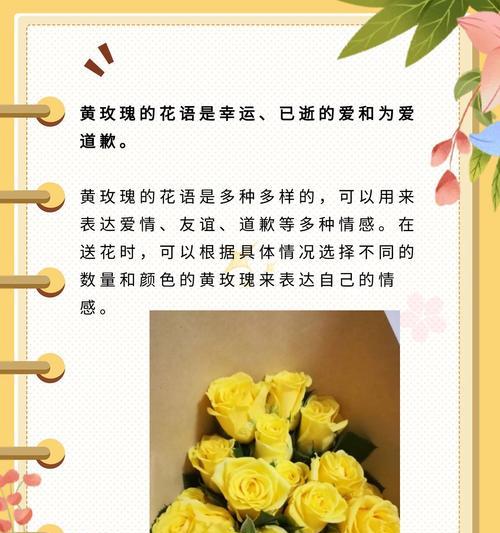 又美又飒玫瑰花语是什么？这种玫瑰传递了怎样的信息？