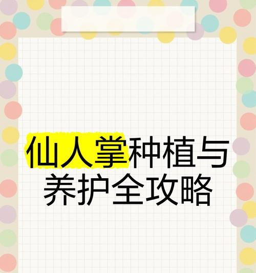 一片仙人掌的养护技巧是什么？怎样才能养活？
