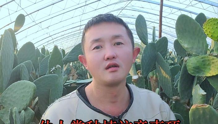 湖南怎么种仙人掌？适合湖南气候的种植技巧有哪些？