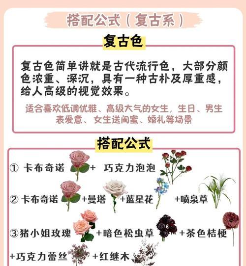 夏季适合购买哪些玫瑰花品种？如何选择？
