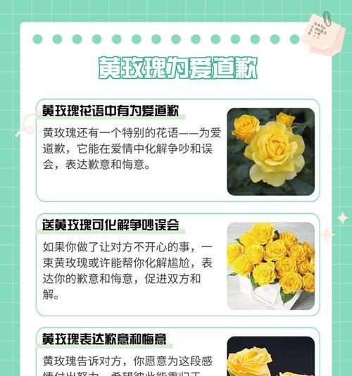 红黄玫瑰组合的花语有何深意？