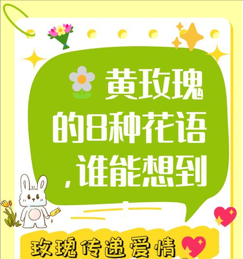 红黄玫瑰组合的花语有何深意？