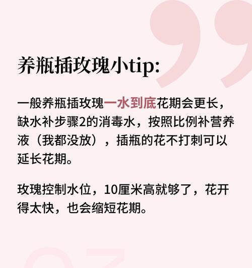 大批量玫瑰花的养护技巧有哪些？