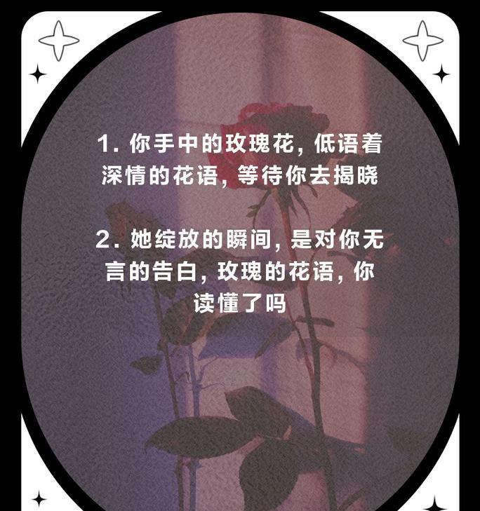 表白时花语应该怎样表达？