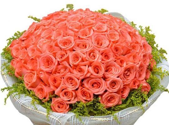 红色玫瑰花与肉色衣服搭配代表什么？它们的花语是什么？