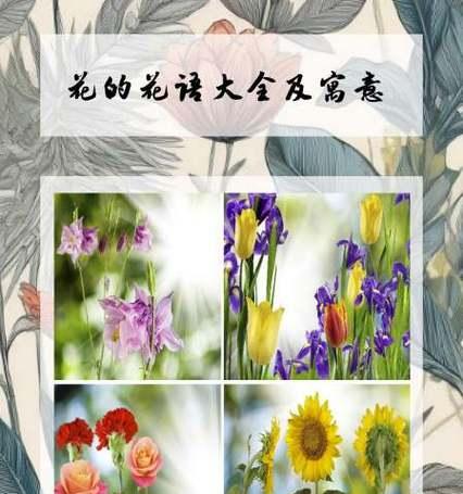 爱情名花的花语和寓意有哪些？