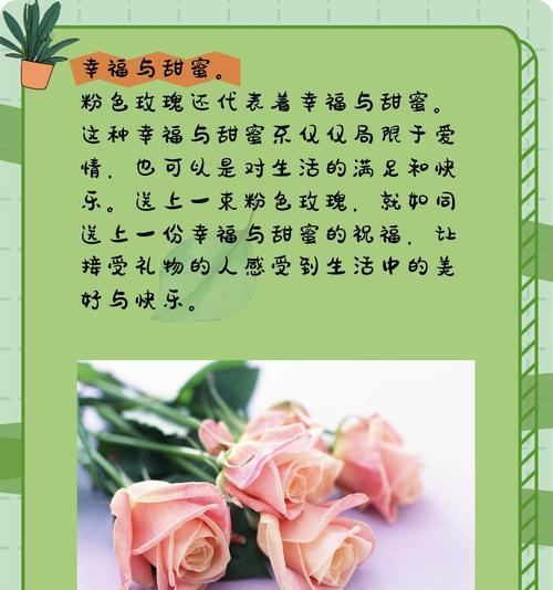 玫瑰在以前的花语是什么？它有何历史意义？