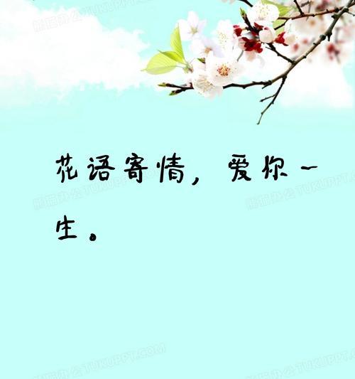 季末花开的寓意是什么？花语又传达了哪些信息？