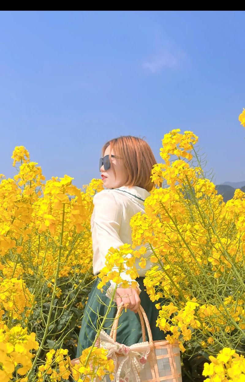 油菜花花语背后隐藏了哪些趣事？