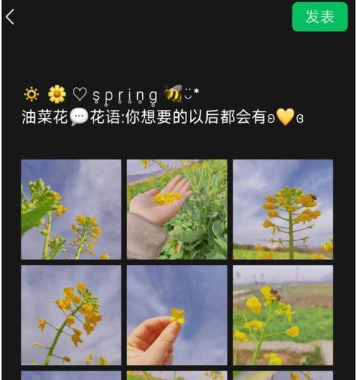 油菜花花语背后隐藏了哪些趣事？