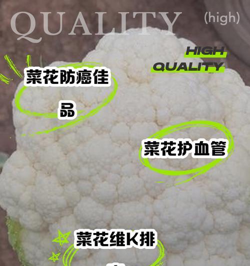 菜花的花语象征和寓意有哪些？