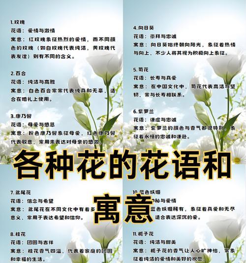 黄色玫瑰花语有哪些？