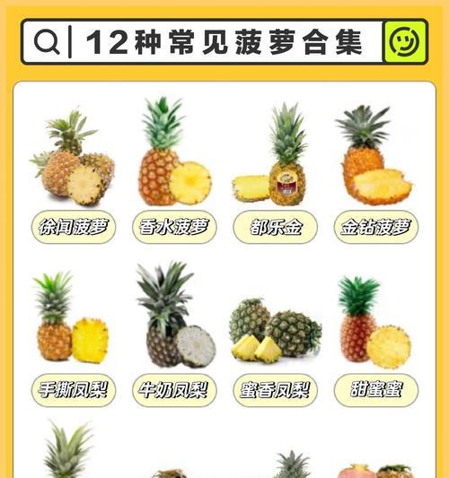 菠萝花束的花语代表了什么？它有哪些特别的含义？