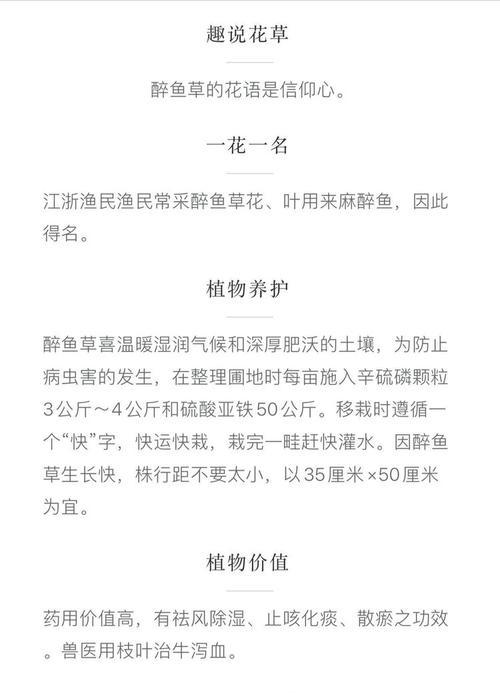 纪念先贤的花语代表什么含义？