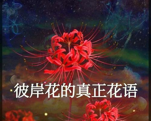 哪种花的花语象征着家？家的花语有哪些？