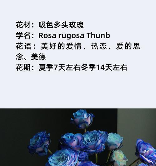 表达思念的花语有哪些？