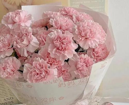 勿忘我是什么花香的花语和寓意？蓝目菊寓意花语又是什么？