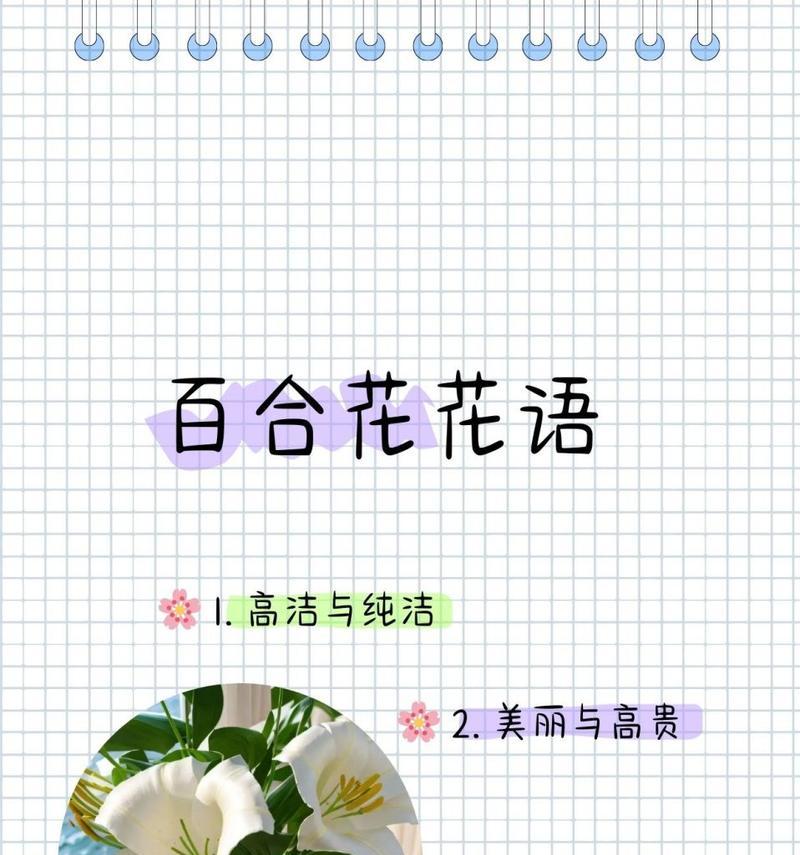 表达歉意应该选择什么花？花语中有哪些是表示道歉的？