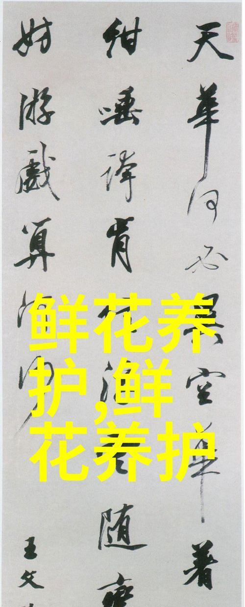 花语是什么好美的花名？这些花名背后隐藏着怎样的故事？