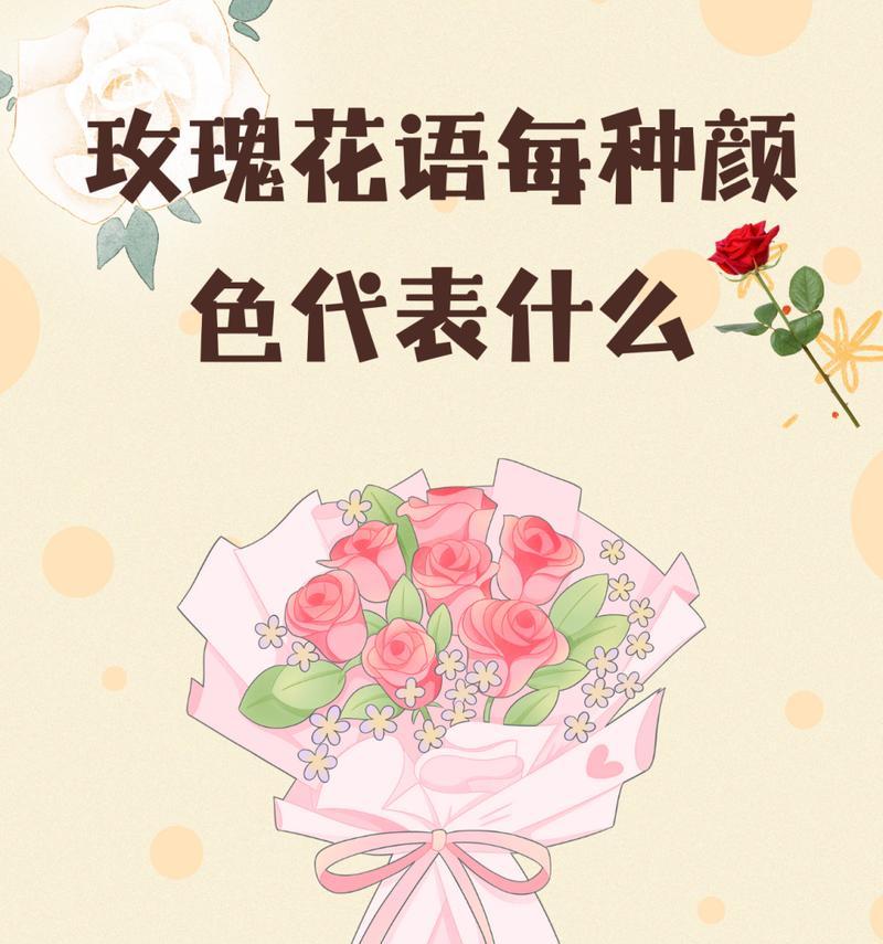 一朵玫瑰的花语是什么？玫瑰花语有哪些不同的表达？