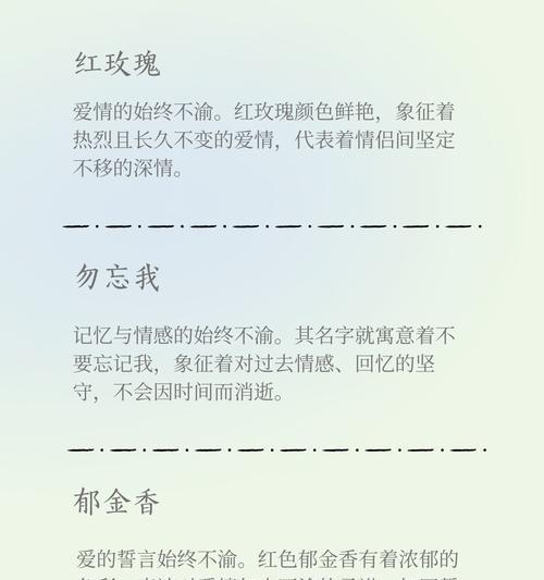 一朵玫瑰的花语是什么？玫瑰花语有哪些不同的表达？
