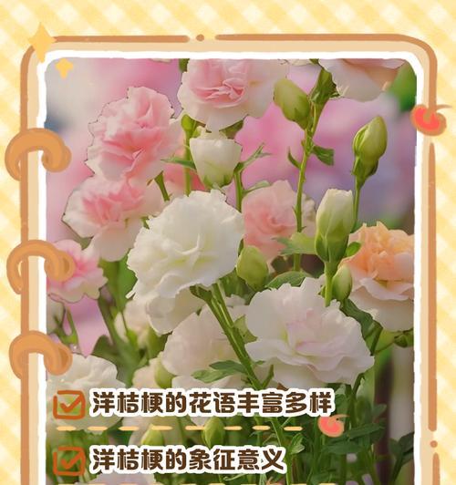 洋桔梗花语对母女有何深意？