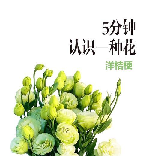 洋桔梗花语对母女有何深意？
