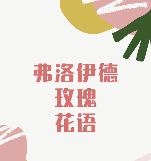 诺拉绝美的花语代表了什么？