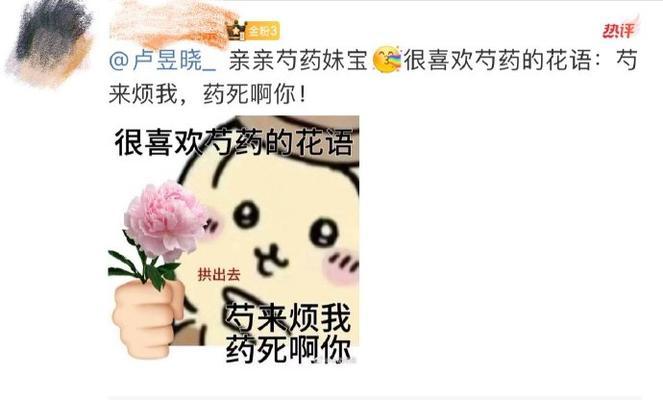 芍药奶油丸花语寓意着什么？