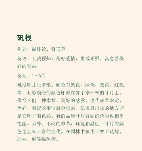 调情的花语和寓意是什么？有哪些花代表调情？
